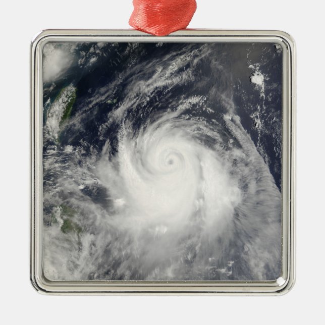 Typhoon Ewiniar Metal Tree Decoration (Front)