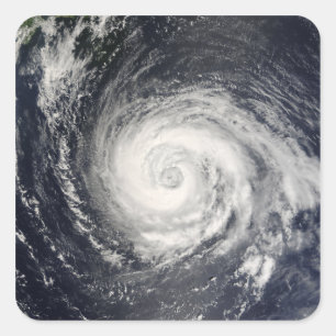 Typhoon Fitow Square Sticker