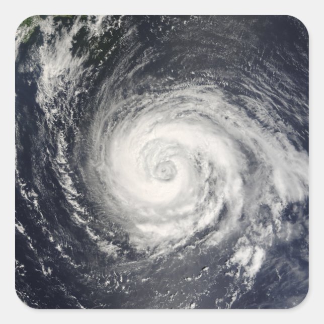 Typhoon Fitow Square Sticker (Front)