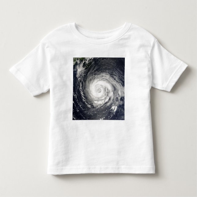 Typhoon Fitow Toddler T-Shirt (Front)