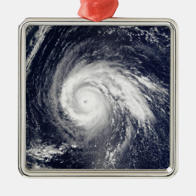 Typhoon Higos Metal Tree Decoration (Front)