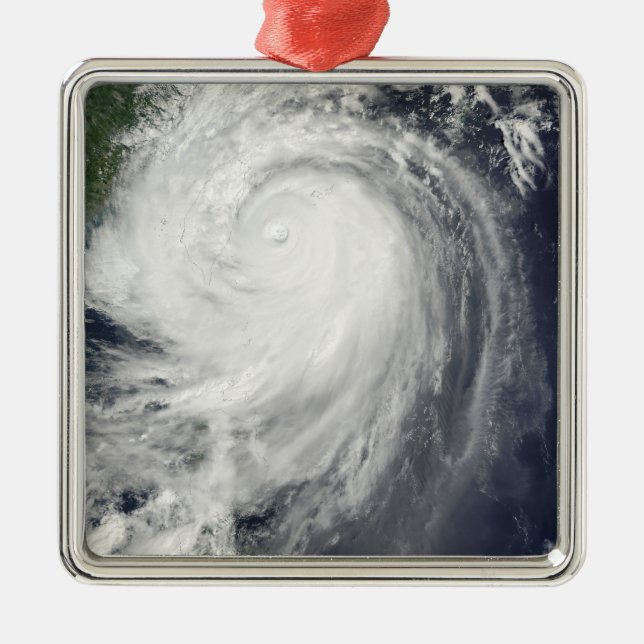 Typhoon Jangmi Metal Tree Decoration (Front)