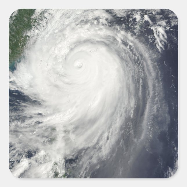 Typhoon Jangmi Square Sticker (Front)