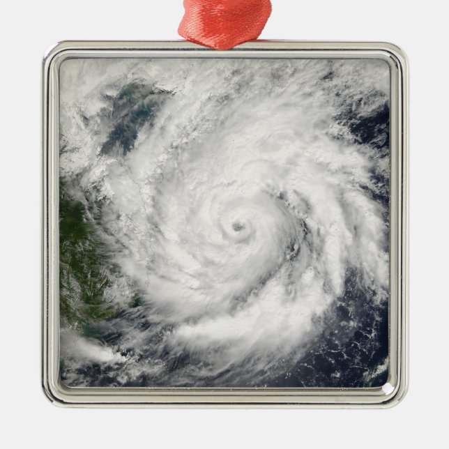 Typhoon Kai-Tak Metal Tree Decoration (Front)