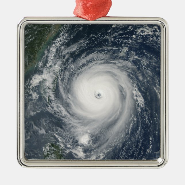 Typhoon Longwang  approaching Taiwan Metal Tree Decoration (Front)