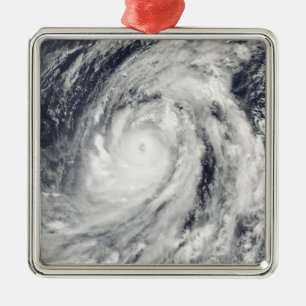Typhoon Lupit Metal Tree Decoration