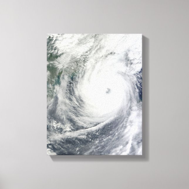 Typhoon Megi 2 Canvas Print (Front)