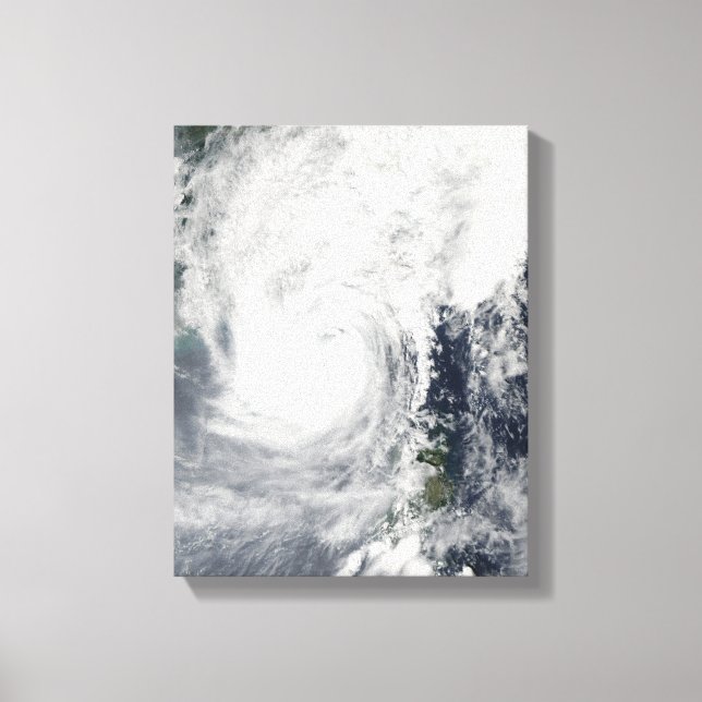 Typhoon Megi 3 Canvas Print (Front)