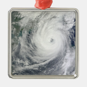 Typhoon Megi 4 Metal Tree Decoration