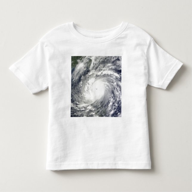Typhoon Megi Toddler T-Shirt (Front)