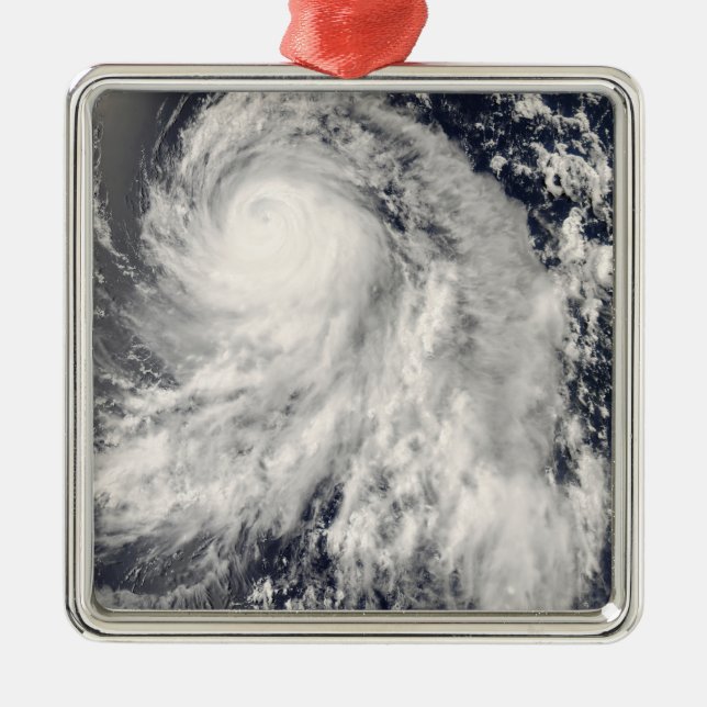 Typhoon Nakri off Japan Metal Tree Decoration (Front)