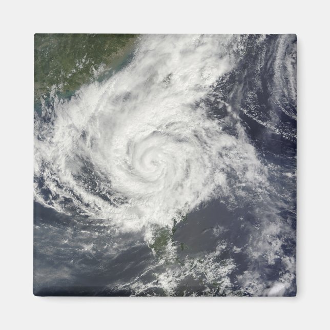 Typhoon Parma Magnet (Front)