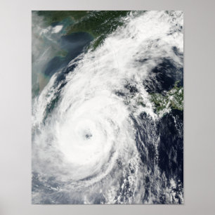 Typhoon Rusa 2 Poster
