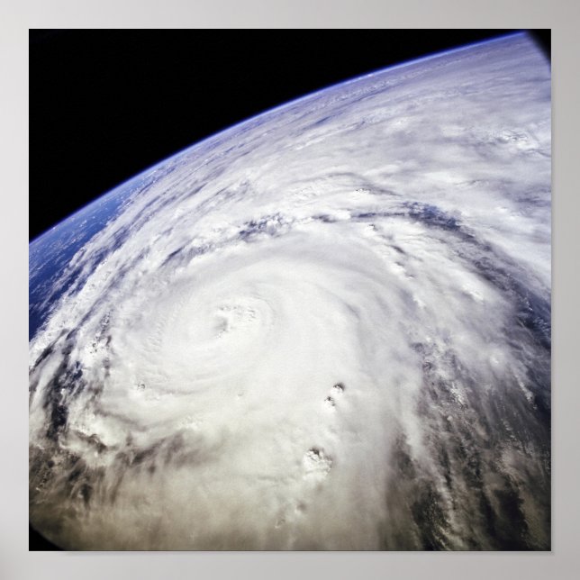 Typhoon Saomai Poster (Front)