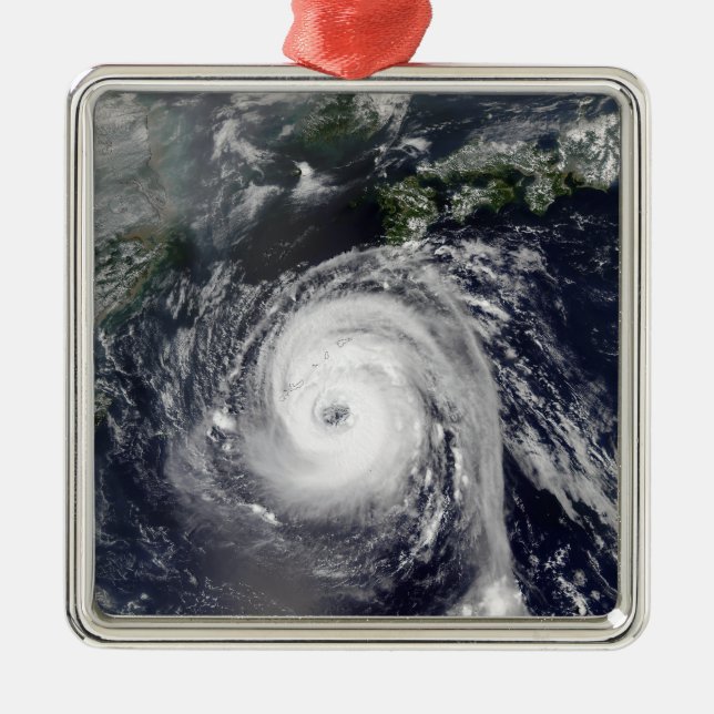 Typhoon Sinlaku 2 Metal Tree Decoration (Front)