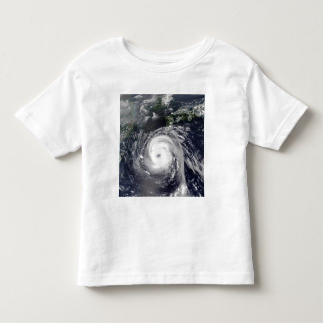 Typhoon Sinlaku 2 Toddler T-Shirt (Front)