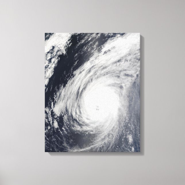 Typhoon Sudal south of Japan 3 Canvas Print (Front)