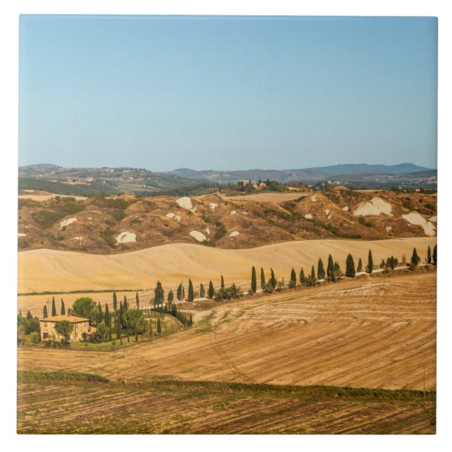 Typical landscapes for Siena Province in Tuscany Tile (Front)