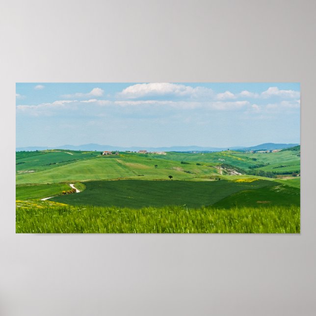 Typical Tuscany Landscape Poster (Front)