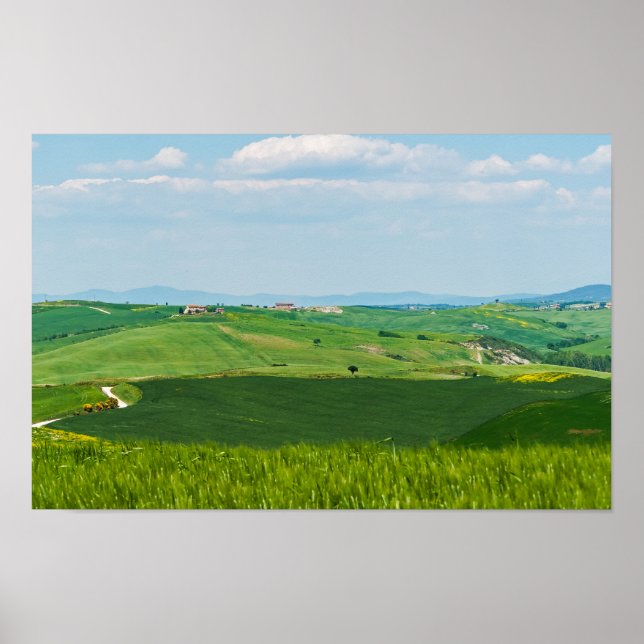 Typical Tuscany Landscape Poster (Front)
