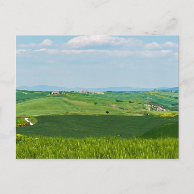 Typical Tuscany Landscape with Hills - Italy Postcard (Front)