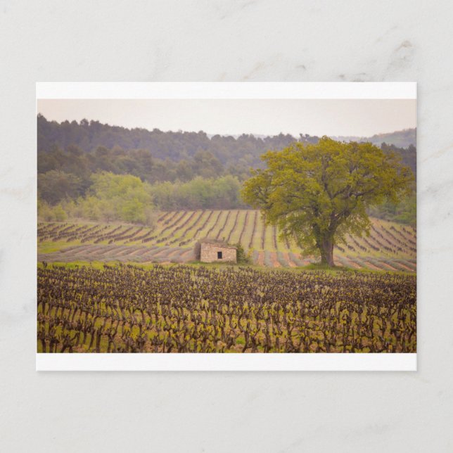 Typically french postcard (Front)