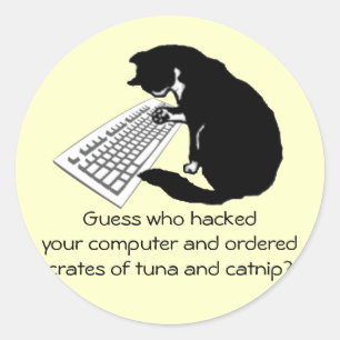Typing Cat Classic Round Sticker