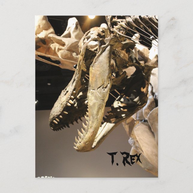 Tyrannosaurus # 2 postcard (Front)
