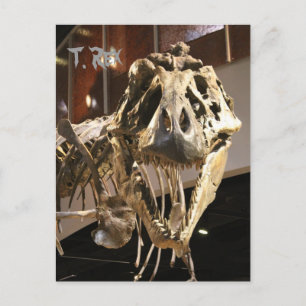 Tyrannosaurus # 4 postcard