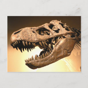 Tyrannosaurus Rex Postcard