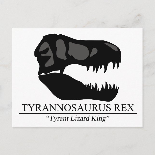 Tyrannosaurus Rex Skull Postcard (Front)