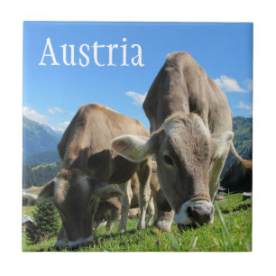 Tyrolean Cows Grazing on Alpine Slope, Austria Tile