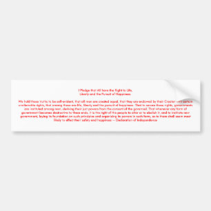 !!! U Create Declaration of Independence Bumper Sticker