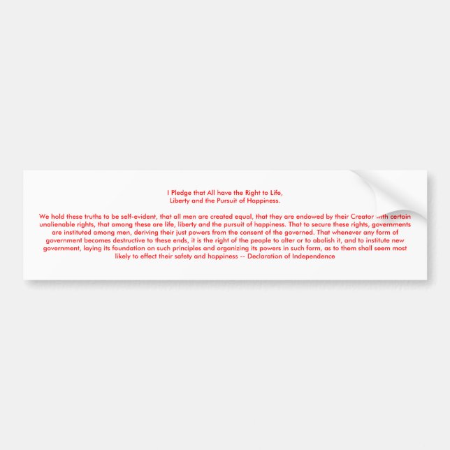 !!! U Create Declaration of Independence Bumper Sticker (Front)