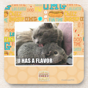 U HAS A FLAVOR COASTER