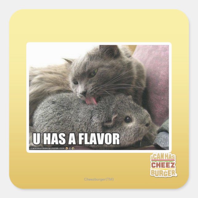 U HAS A FLAVOR SQUARE STICKER (Front)