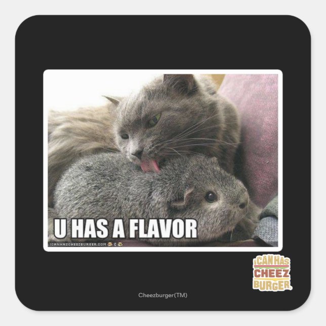 U HAS A FLAVOR SQUARE STICKER (Front)