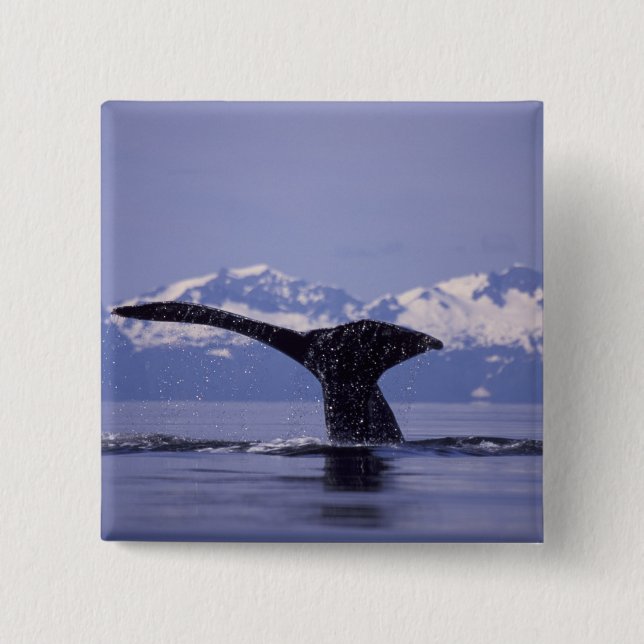 U.S.A., Alaska, Inside Passage Humpback whale 15 Cm Square Badge (Front)