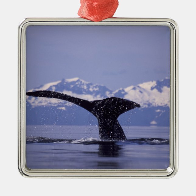 U.S.A., Alaska, Inside Passage Humpback whale Metal Tree Decoration (Front)