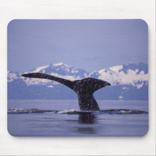 U.S.A., Alaska, Inside Passage Humpback whale Mouse Pad