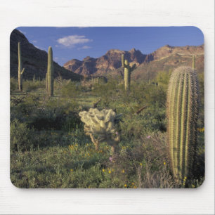 U.S.A., Arizona, Organ Pipe National Monument. Mouse Pad
