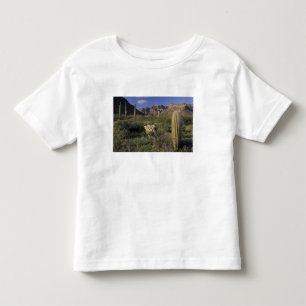 U.S.A., Arizona, Organ Pipe National Monument. Toddler T-Shirt