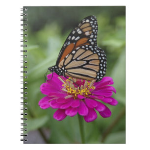 U.S.A., Massachusetts, Boylston, Tower Hill Spiral Notebook