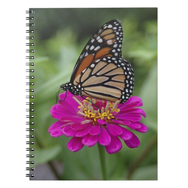 U.S.A., Massachusetts, Boylston, Tower Hill Spiral Notebook (Front)