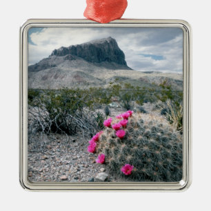 U.S.A., Texas, Big Bend National Park. Blooming Metal Tree Decoration