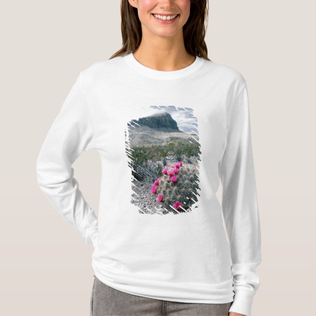 U.S.A., Texas, Big Bend National Park. Blooming T-Shirt (Front)