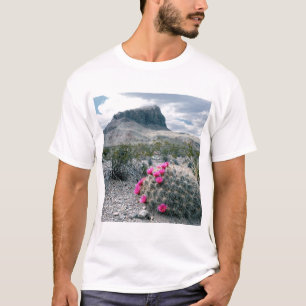 U.S.A., Texas, Big Bend National Park. Blooming T-Shirt