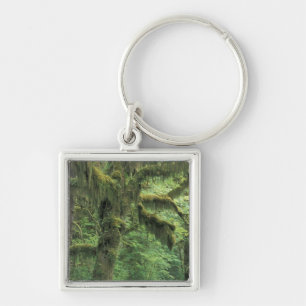 U.S.A., Washington, Olympic National Park. Key Ring