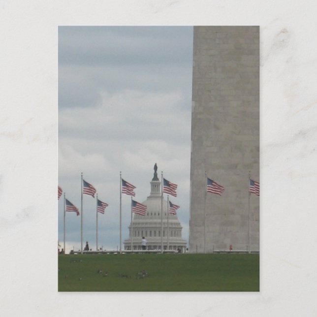 U.S. Capitol and Washington Monument Postcard (Front)