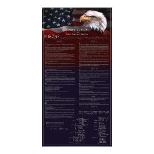 U.S. CONSTITUTION White Pinline Border Photo Print